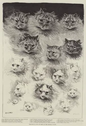 Schetsen van de Katten Show in het Crystal Palace